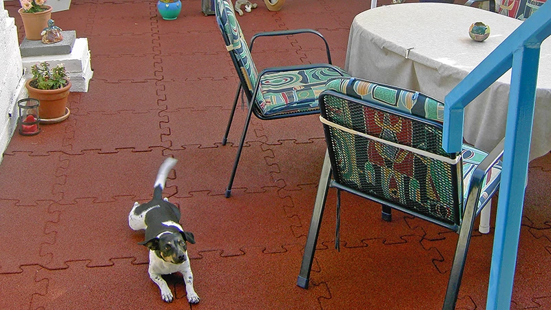 På bilden syns en balkong täckt av röda WARCO-pusselplattor. En liten hund rör sig fritt på den elastiska, halksäkra ytan, medan en sittgrupp inbjuder till social samvaro. Golvet skyddar underlaget från fukt och skador och är både lättskött och vädertåligt. Därför förblir denna utomhusmiljö en bekväm plats för avkoppling under många år framöver.